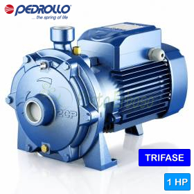 2CP 25/130 - Elettropompa centrifuga bigirante trifase da 1 HP Pedrollo - 1
