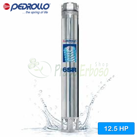 6SR36/9 - HYD - 800 litre submersible pump Pedrollo - 1