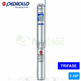 4SR 2/12 S-PS - Bomba eléctrica sumergible trifásica de 1 HP Pedrollo - 1