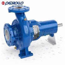 FG2-65/250B - Bomba centrífuga estandarizada con soporte Pedrollo - 1