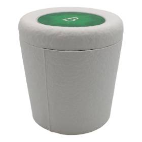 Bios Pets Red Maple biodegradable memorial urn