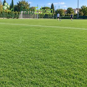 Lëndinë sportive e gjelbër për fushë futbolli me portë dhe lojtarë në sfond