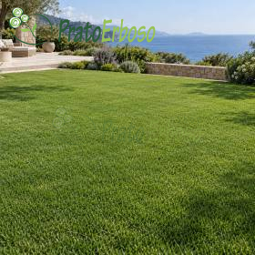 MARINE Wiese Kunstrasen im mediterranen Garten mit Meerblick
