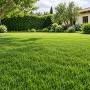 CLASSIC lawn