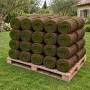 20 m2 de césped preparado en rollos