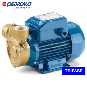 PQ 60-Bs – Elektropumpe mit 0,40 PS dreiphasigem Peripherlaufrad Pedrollo - 1