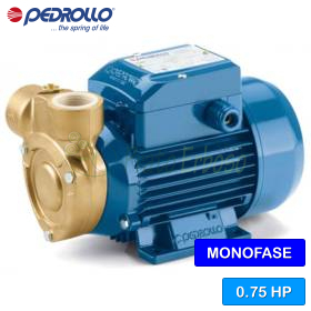 PQm 81-Bs - Pompe électrique avec roue périphérique monophasée de 0,75