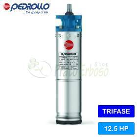 6PD/12.5 - Moteur triphasé rebobinable 6" 12.5 HP