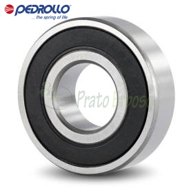 6203 2RS - Kugellager 17x40x12 mm Pedrollo - 1