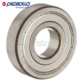 6309 ZZ-C3 - Roulement à billes 45x100x25 mm Pedrollo - 1