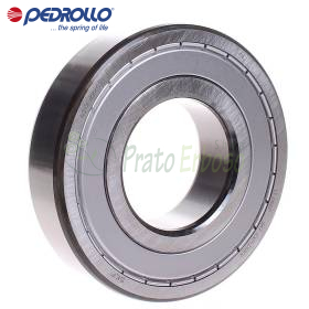 6313 ZZ-C3 - Roulement à billes 65x140x33 mm Pedrollo - 1