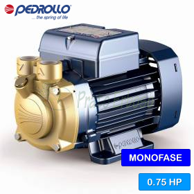PVm 65 – Elektropumpe mit einphasigem Peripherlaufrad mit 0,75 PS Pedrollo - 1