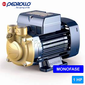 PVm 70 - 1 HP single-phase peripheral impeller electric pump Pedrollo - 1