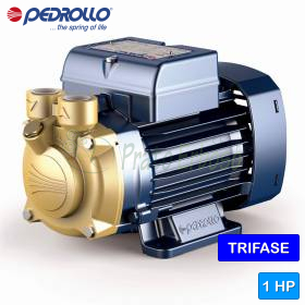 PV 70 – Elektropumpe mit 1 PS dreiphasigem Peripherlaufrad Pedrollo - 1