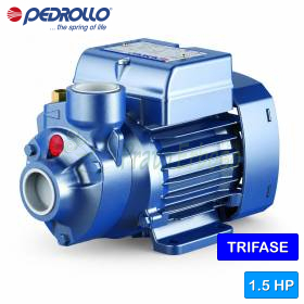 PK 100 - Electrobomba con impulsor periférico trifásico de 1,5 HP