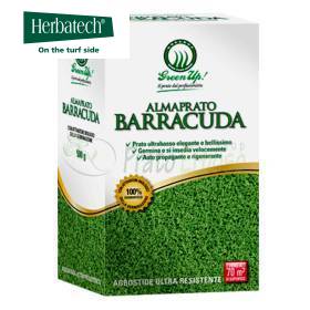 Almaprato Barracuda - Sementi per prato da 500 g