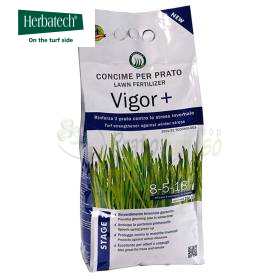 Vigor Plus - 4 kg pleh për lëndina