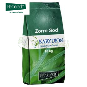 Semences de gazon Zorro Sod - 10 kg