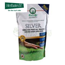 Silver - Sementi per prato da 5 kg Herbatech - 1