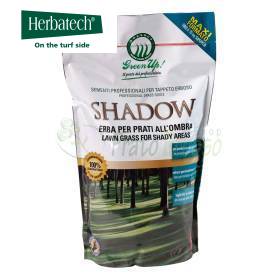 Shadow - Sementi per prato 1.2 kg Herbatech - 1