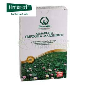 Almaprato Trifogli & Margherite - Sementi per prato da 250 g Herbatech - 1