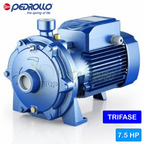 2CP 32/210B - 7.5 HP three-phase twin-impeller centrifugal pump Pedrollo - 1