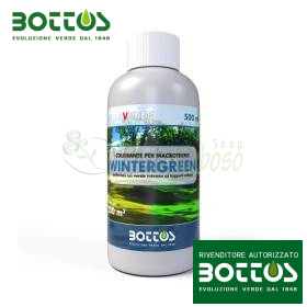 Wintergreen - Tinte para césped verde primavera de 500 ml