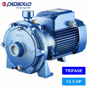 2CP 40/200B - 12.5 HP three-phase twin-impeller centrifugal pump Pedrollo - 1
