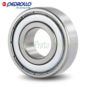 6305 - Roulement à billes 25x62x17 mm Pedrollo - 1