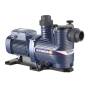 MAGNIFICA 1m - 0.75 HP Single Phase Electric Pool Pump