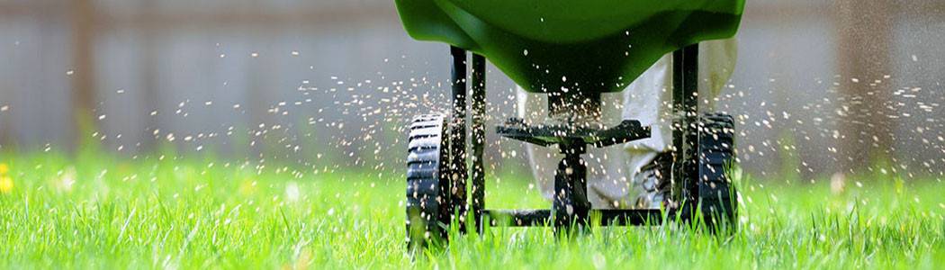 Fertilizantes para césped