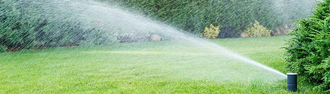 Sprinkler